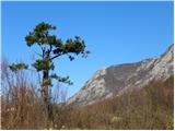 Podnanos - Sveti Miklavž above Vipava